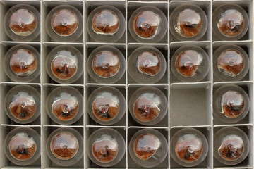 Glühlampe Glühbirne