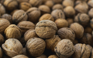 Fresh walnuts in shell. Selective focus