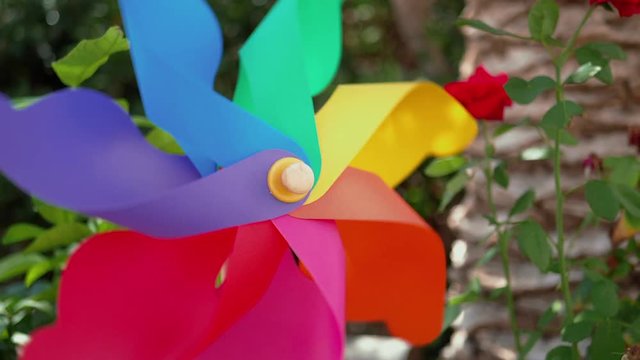 Hypnotic color change in a frenetic pinwheel