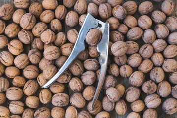 Nut cracker tool on bunch of fresh walnuts