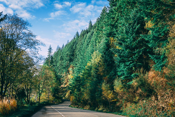 Road Alongside Loch Ness - Scotland