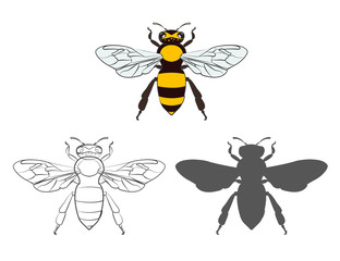 Honey bees vector illustration