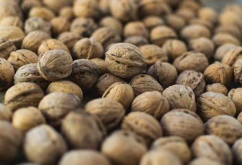 Fresh walnuts in shell. Selective focus and full frame