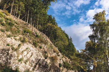 Road in the highlands of Scotland