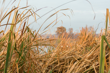 Fototapeta premium lake in autumn, Ukraine
