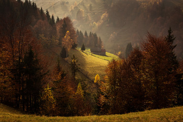 Beautiful landscape in autumn season with amazing colors. Simon, Brasov. Tansylvania - Romania.