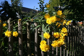 Naturschutzgebiet Osterseen