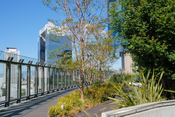 屋上庭園　風景