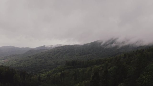 Backward flying over cloudy evergreen forest, aerial, Slovakia