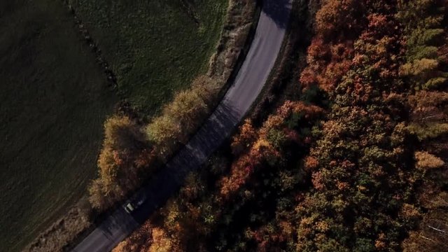 field crop land landscape farm road path countryside autumn colors trees