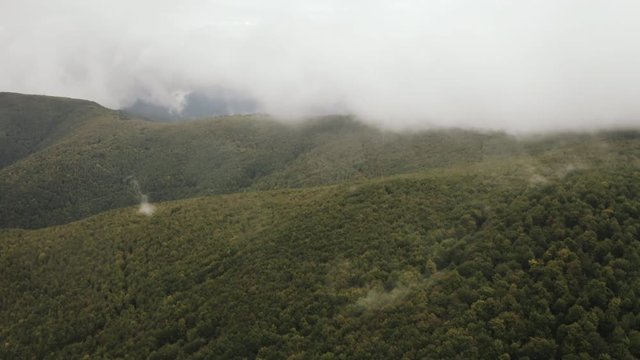 Flying over green forest on overcast day through clouds, Aerial shot, Slovakia