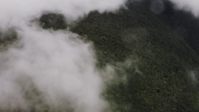 Flying over White cloud covering green forest, Aerial shot