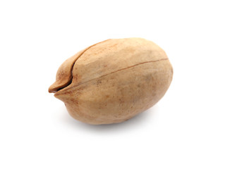 Pecan nut in shell on white background. Nutritive food