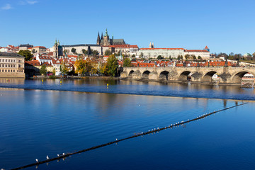 Fototapeta premium Colorful autumn Prague gothic Castle and Charles Bridge with the Lesser Town in the sunny Day, Czech Republic