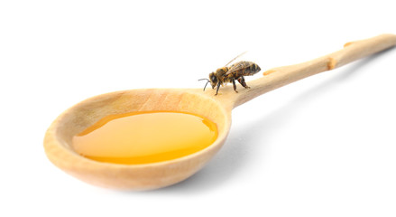 Wooden spoon with honey and bee on white background