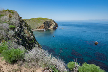 Scenes From Santa Cruz Island