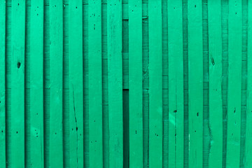 Surface of an empty green wooden panel for interior design and exterior decoration.