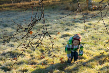 Fototapeta na wymiar Boy walking in the park