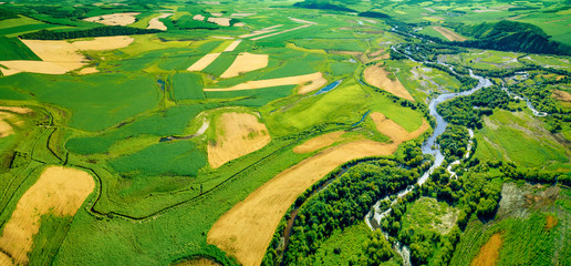 Green fields aerial view before harvest