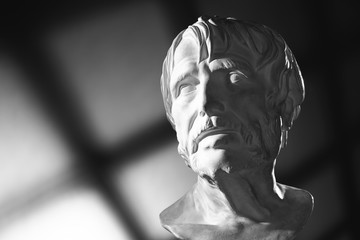 plaster sculpture bust