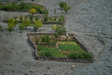 Fototapeta premium garden in the mountains, Afghan garden
