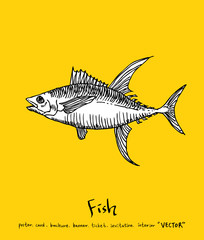 해산물 일러스트 / 손으로 그린 수산물 그림