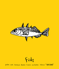 해산물 일러스트 / 손으로 그린 수산물 그림