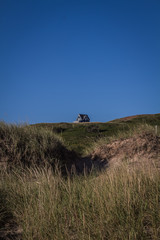 Obraz premium old house on the hill