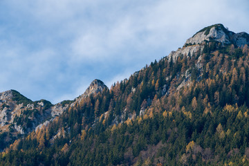 Gebirge mit Wälder im Herbstkleid