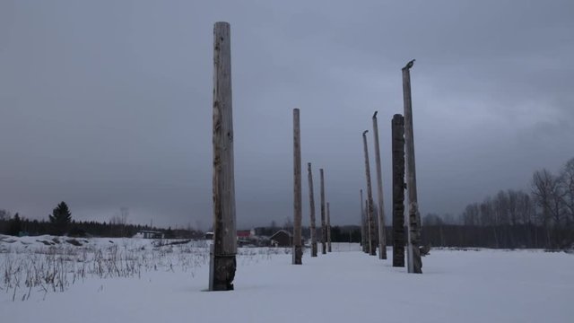 Totem poles of the Gitksan Nation in Kispiox Valley, Northern British Columbia.