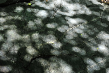 Summer mountain forest landscape