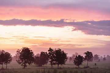 Beautiful sunrise at agricultural field in Nakhon Ratchasima, Northeast of Thailand