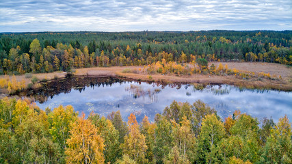 Landscape in fall