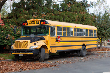 Naklejka na ściany i meble North American School Bus