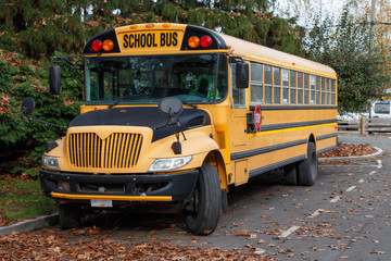 Fototapeta na wymiar North American School Bus