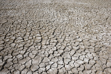 Climate warming dry chapped land
