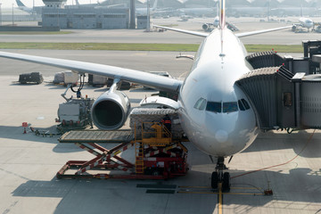 Loading cargo on plane in airport before flight. Foreman control loading Containers box to cargo...
