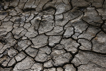 Climate warming dry chapped land