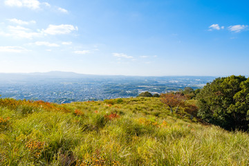 若草山と奈良の町