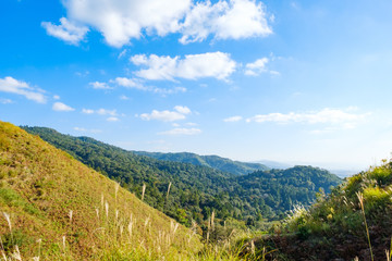 Fototapeta premium 若草山山頂から見た景色