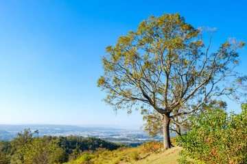 若草山山頂と奈良の町