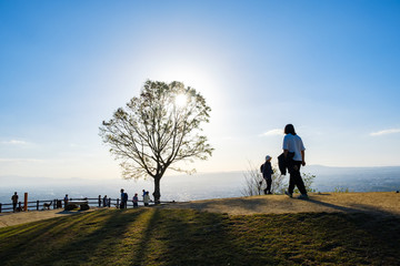 若草山の鹿と観光客