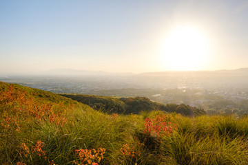 夕暮れの若草山と奈良の町