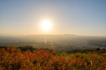 夕暮れの若草山と奈良の町