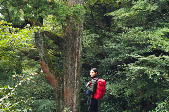 ハイキングをする女性