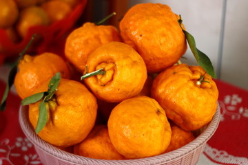 Brazil - architeture, food and others