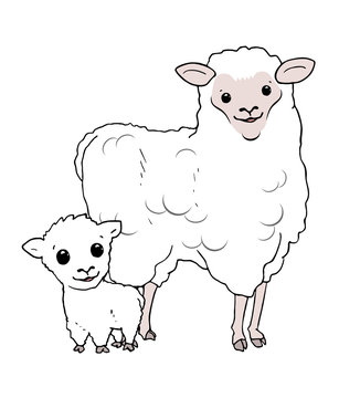 mother and son sheeps illustration