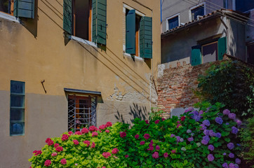 Fototapeta na wymiar Houses and flowers in Venice, Italy