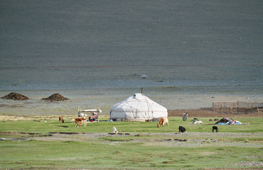 Mongolian yurts and dwellers