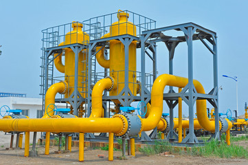 The valves